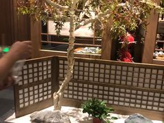 -蟹将军·松叶蟹和牛日料放题自助(K11店)
