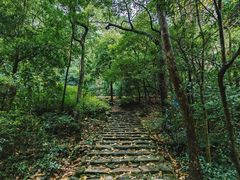 -雁荡山风景名胜区