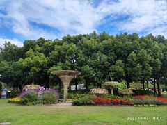-上海滨江森林公园