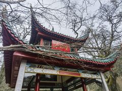 -岳麓山风景名胜区