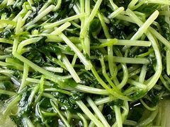 -沈记菜馆(酒仙桥路店)