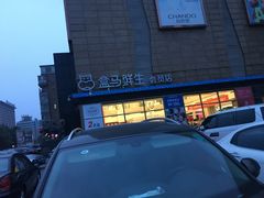 -盒马鲜生(大成店)