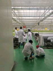 -麦粒鸟亲子游