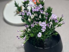 -小厨娘淮扬菜(河西奥美大厦店)