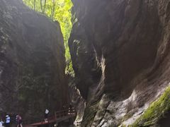 -牛背梁国家森林公园