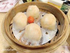 -点都德(大茶楼店)