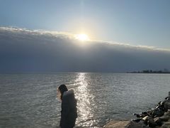 -合肥滨湖国家森林公园