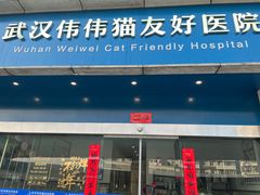 -伟伟宠物医院·瑞派猫友好医院·猫科(光谷店)