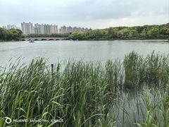 -昆山城市生态森林公园