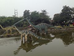 iphone_upload_pic-自贡恐龙博物馆