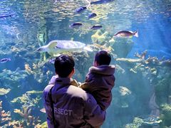 -华夏文旅海洋公园