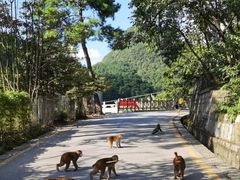 -黔灵山公园