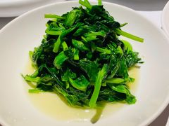 五粮液嫩豆苗-玫瑰厅上海菜(兴国路店)