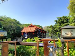 -侨美·唐荔园·40年地道粤菜