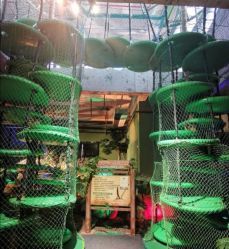 -恐龙探索乐园(磁器口店)