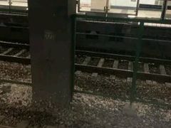 -锦江乐园(地铁站)