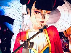 -淄博花灯齐彩城