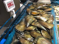 -盒马鲜生(皇庭广场店)
