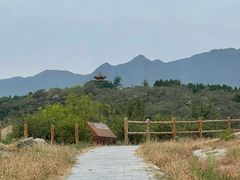 -白水寺森林公园