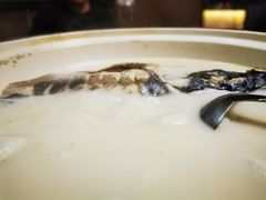 -金陵红鲤鱼餐厅(孝陵卫紫金山店)