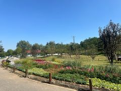 -马家湾湿地公园