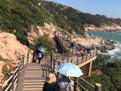 -广东惠东海龟国家级自然保护区