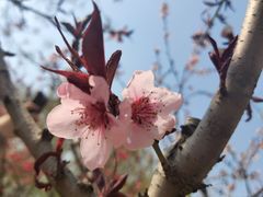 -大兴滨河森林公园