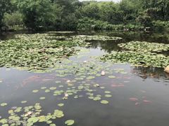 -白马涧龙池景区