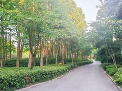 -宝界山林公园