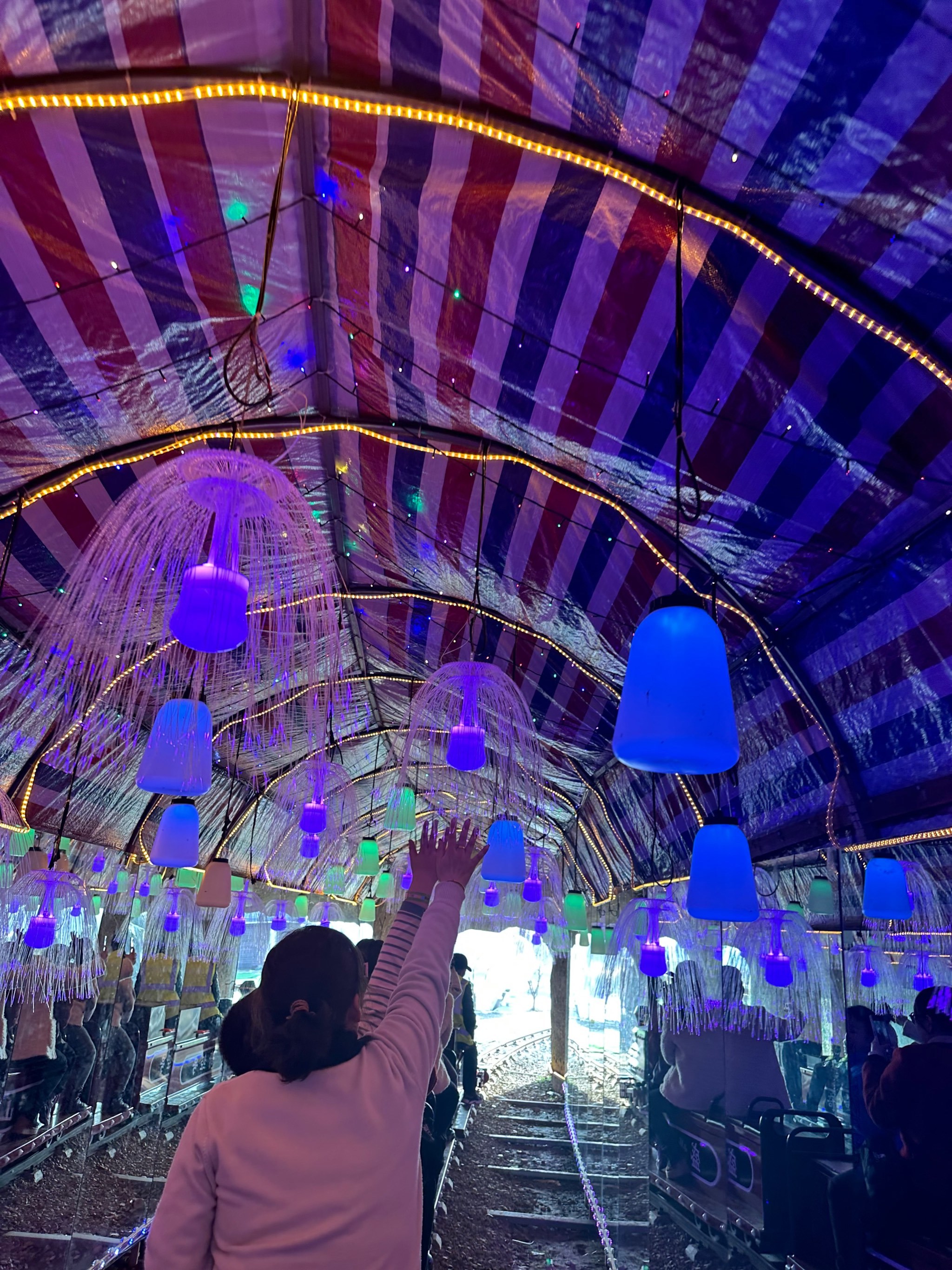 泾县梦幻后山游乐场