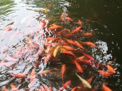 -乾园.魏庐湖景餐厅(花港店)