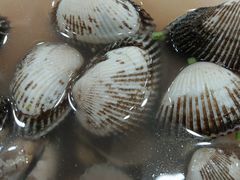 -良友·海鲜青岛菜(五四广场店)