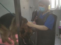 -宠福鑫康馨动物医院·骨科·眼科