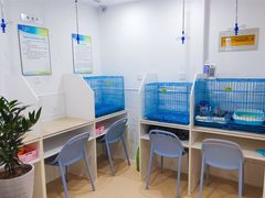 -萌兽医馆·宠物医院·猫骨科(创景店)