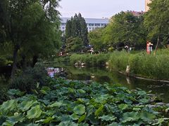 -丁家河公园