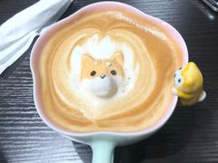 -逗柴咖啡屋·狗咖猫咖宠物桌游