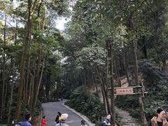-广州市帽峰山景区