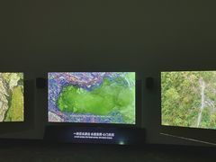 -上海当代艺术博物馆