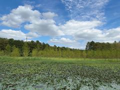 -上海海湾国家森林公园