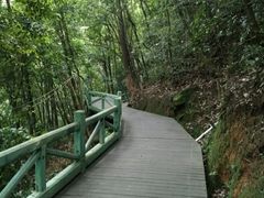 android_upload_pic-四会奇石河风景区
