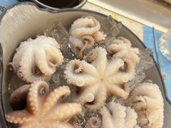 白灼八爪鱼-跳舞牛·串烧酒场(麦地店)