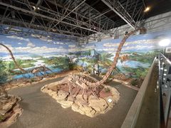 -自贡恐龙博物馆