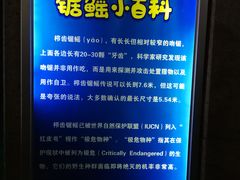 -厦门海底世界
