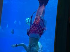 -太平洋海底世界