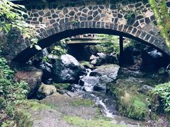 -藏龙百瀑风景区