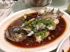 -文杏酒楼(一品天下店)