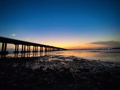 -宝安西湾红树林湿地公园