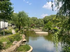 -白马涧龙池景区