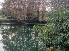 -贵阳市花溪国家城市湿地公园