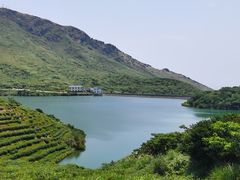 -嵛山岛